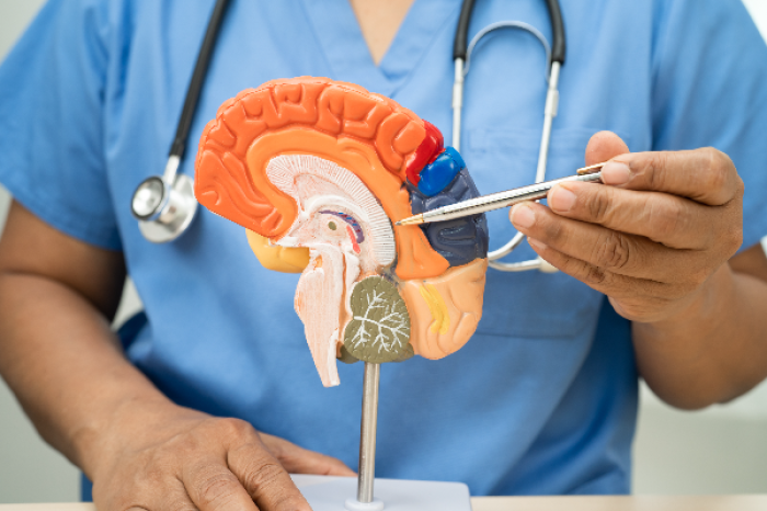 Clínica de Neurologia e Distúrbios do Sono - Doenças Neurodegenerativas